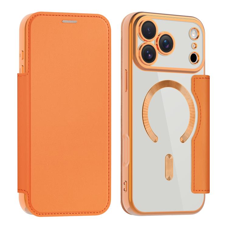 Shield MagSafe RFID Anti-theft Leather Phone Case, For iPhone 18 Pro, For iPhone 17 Pro Max